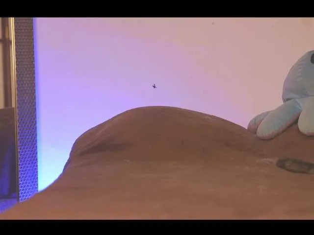 Live sex webcam photo for LorenRosse #278059721