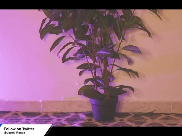 Live sex webcam photo for LorenRosse #278226757