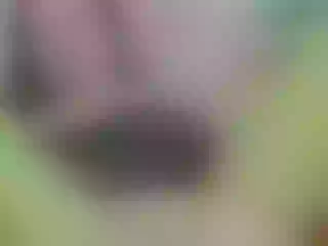 Live sex webcam photo for Lorena422 #290531115