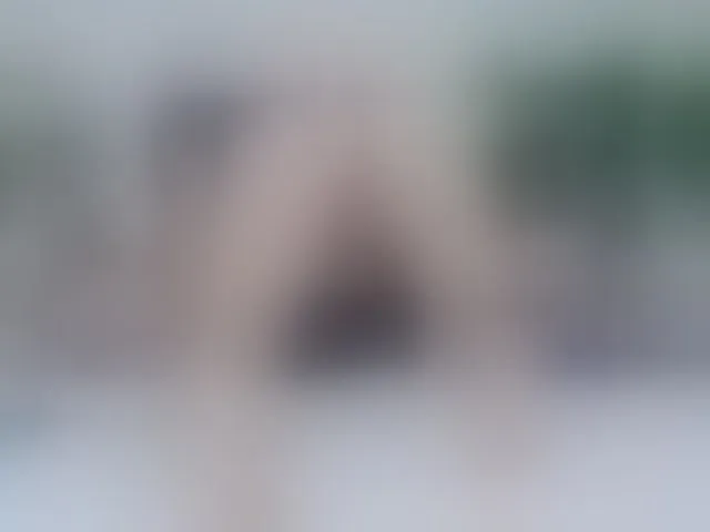 Live sex webcam photo for Lorena422 #290640772