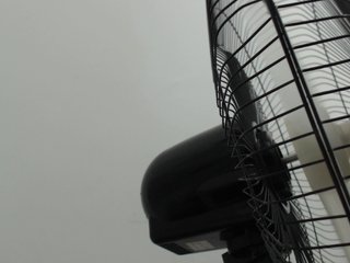 Live sex webcam photo for Lorenax69 #207505646