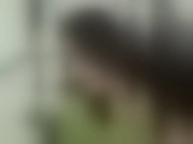 Live sex webcam photo for Love69me #293103280