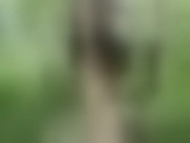 Live sex webcam photo for LoveAndSex24 #278280625