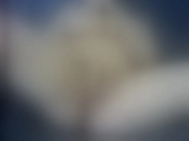 Live sex webcam photo for LoveAss55 #271959701