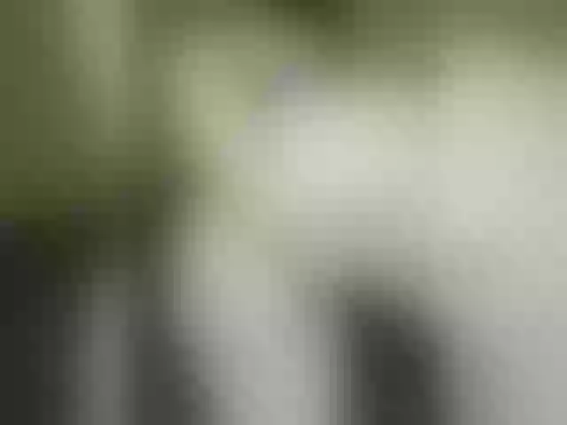 Live sex webcam photo for LoveAss55 #290614826
