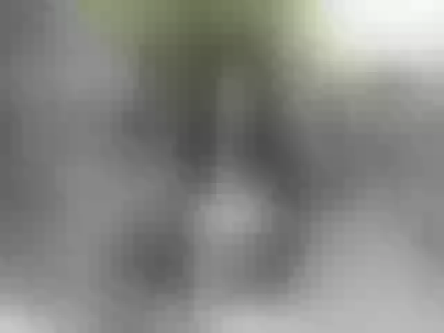 Live sex webcam photo for LoveCatsuit #291948378