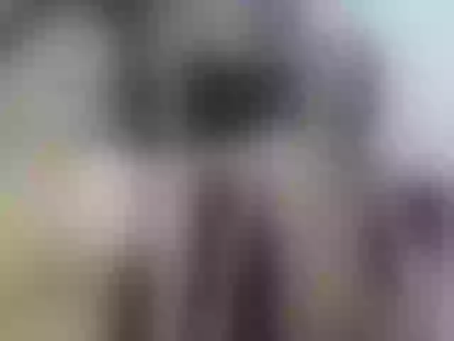 Live sex webcam photo for LoveCom-1 #277203090