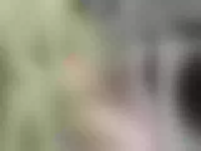 Live sex webcam photo for LoveLama #291826545