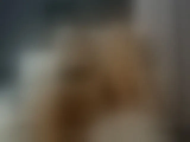 Live sex webcam photo for LovellyEmma #293274555