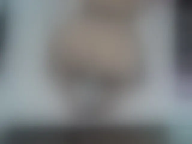 Live sex webcam photo for LovelyJessyca #294092126