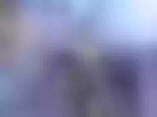 Live sex webcam photo for LuanaFranccesca #290291009