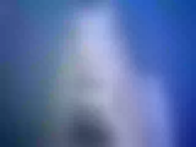 Live sex webcam photo for LuciaLovely #291920326