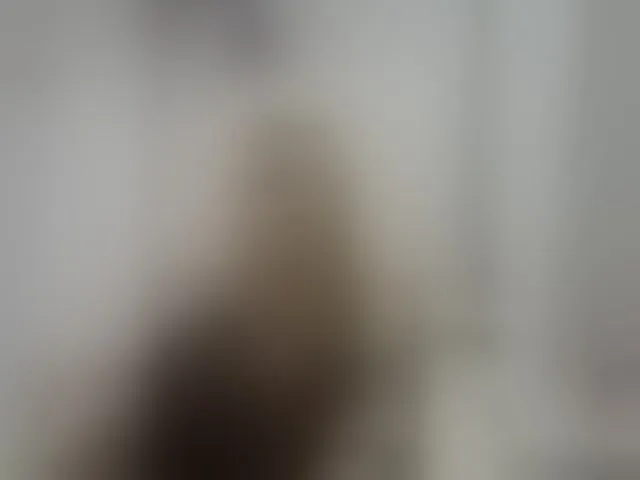 Live sex webcam photo for LucyAlexis #294047910