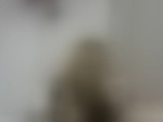 Live sex webcam photo for LucyAlexis #294076380