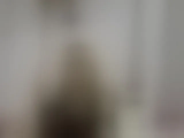 Live sex webcam photo for LucyAlexis #294102567