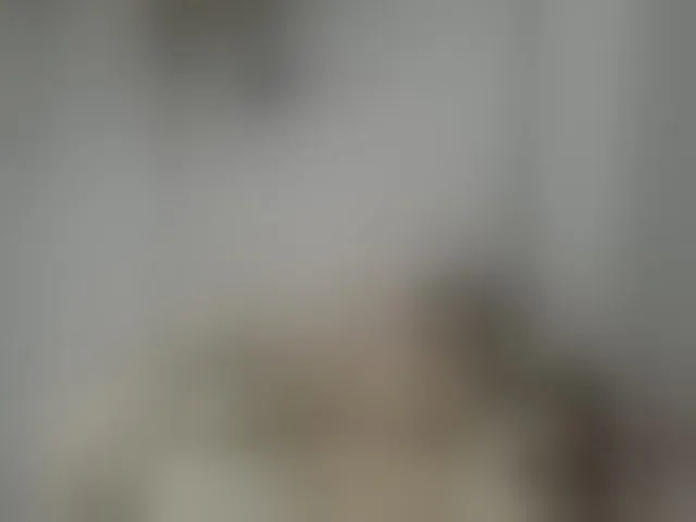 Live sex webcam photo for LucyAlexis #294122564