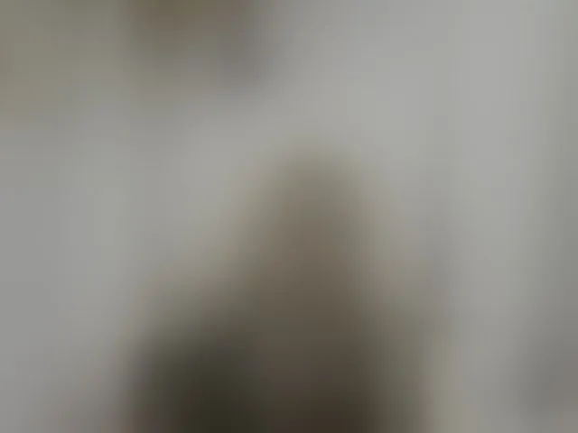 Live sex webcam photo for LucyAlexis #294148664