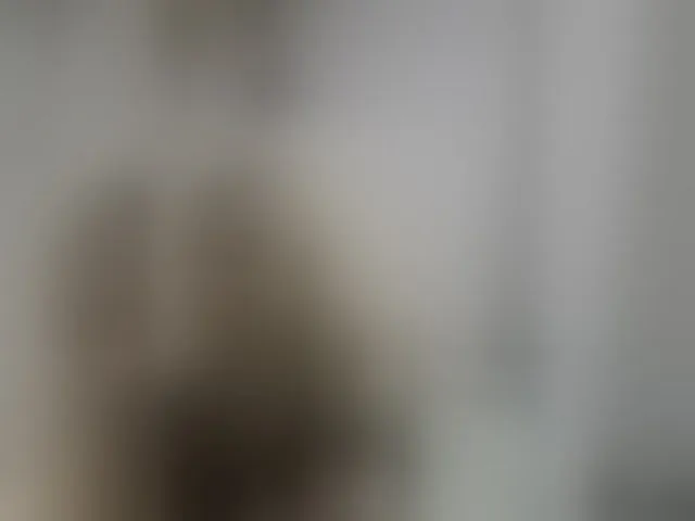 Live sex webcam photo for LucyAlexis #294162954