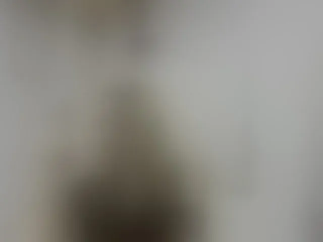 Live sex webcam photo for LucyAlexis #294201851