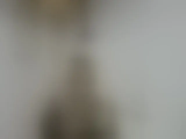 Live sex webcam photo for LucyAlexis #294233626