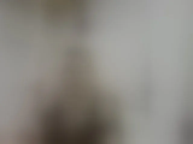 Live sex webcam photo for LucyAlexis #294249523