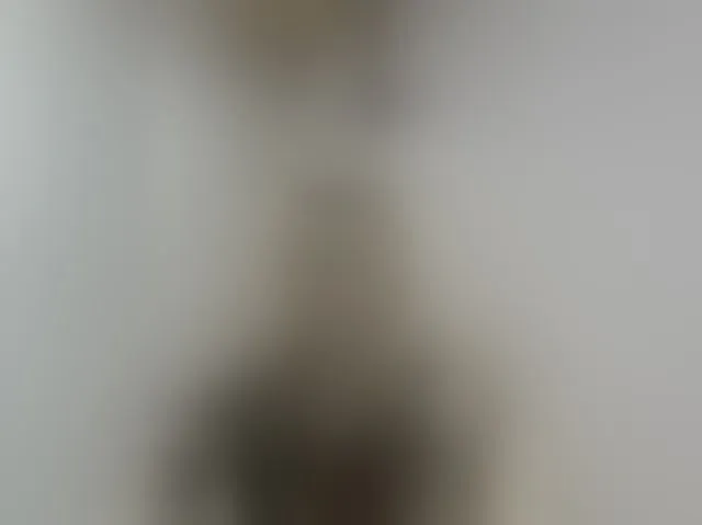 Live sex webcam photo for LucyAlexis #294295666
