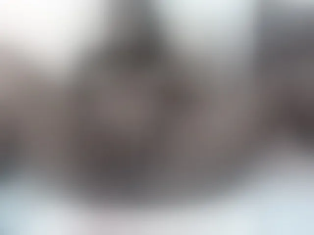 Live sex webcam photo for Lucypalmax #293717786
