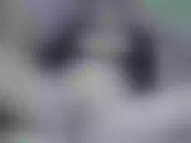 Live sex webcam photo for Luiziana111 #272633636