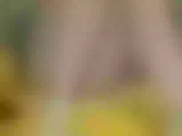 Live sex webcam photo for Luiziana111 #272676673