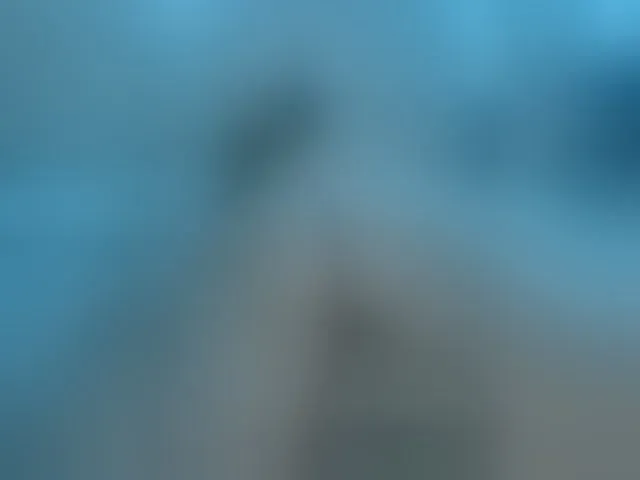 Live sex webcam photo for LunaLu13 #294014528