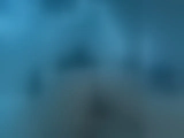 Live sex webcam photo for LunaLu13 #294145081