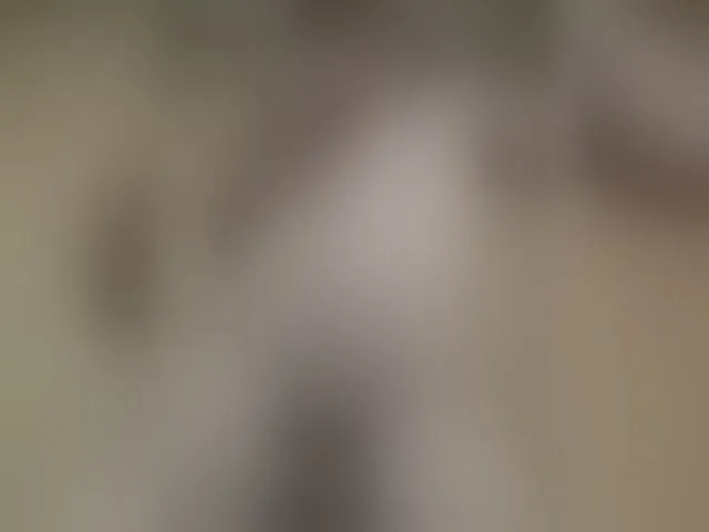 Live sex webcam photo for LunaRex #293231054