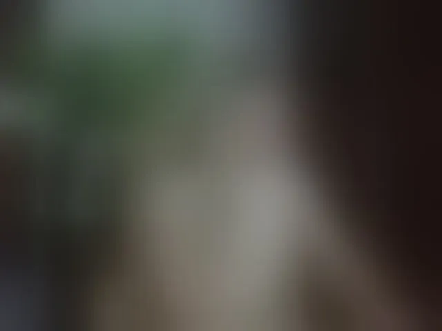 Live sex webcam photo for LunaRishi #293653632