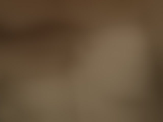 Live sex webcam photo for LunarCat54002 #294139420