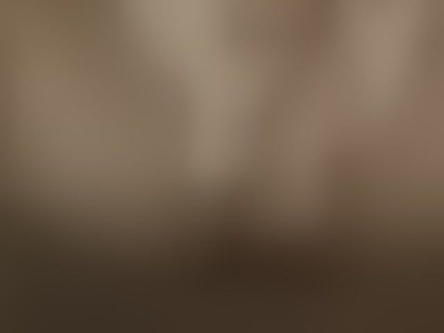Live sex webcam photo for LunarCat54002 #294145086