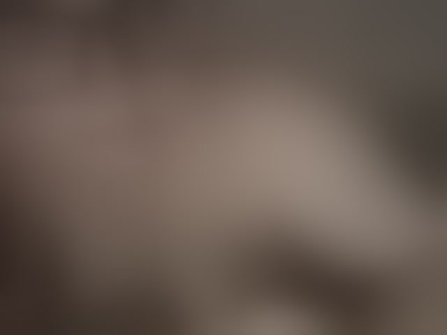 Live sex webcam photo for LunarCat54002 #294154845