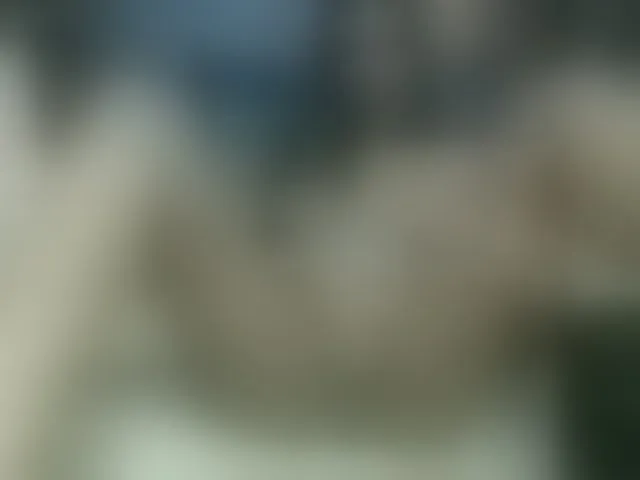 Live sex webcam photo for LusciousIndian #292807799