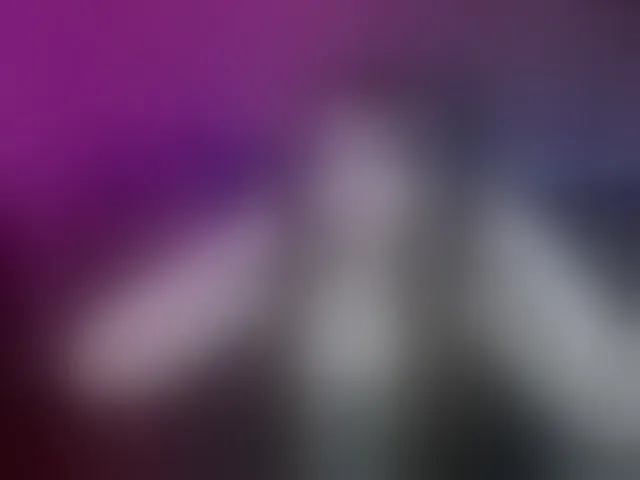 Live sex webcam photo for Luucy #293687655