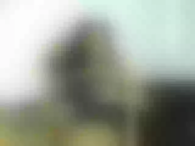 Live sex webcam photo for Lya-Rousel #291126668