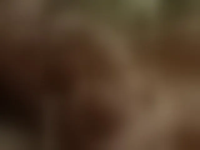 Live sex webcam photo for Lyda27081 #278255342