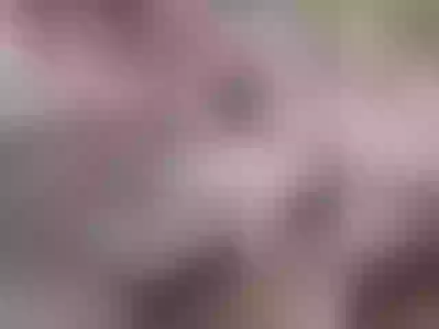 Live sex webcam photo for Lyda27081 #292001925