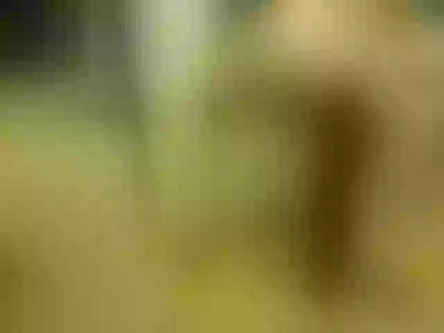 Live sex webcam photo for Lyna-SuLy #277896606