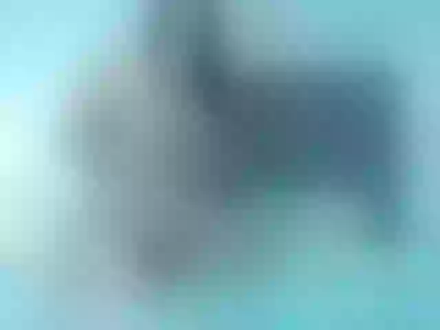 Live sex webcam photo for MARIAGAITAN #274264747