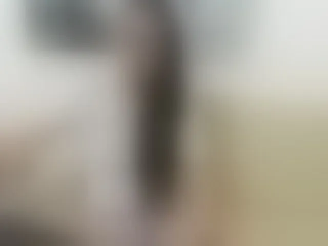 Live sex webcam photo for MARILYNG #293254847