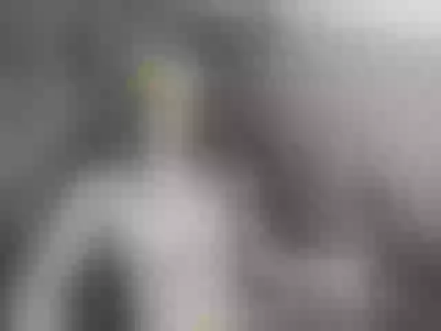 Live sex webcam photo for MCfly-1 #292055504