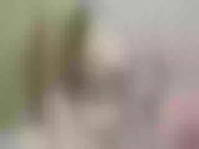 Live sex webcam photo for MEDOVAYA1 #290152148