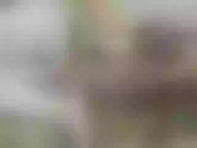 Live sex webcam photo for MILAax #291455157