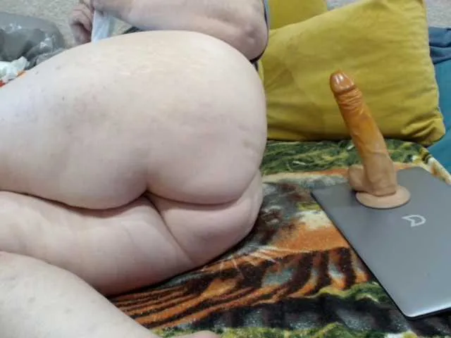 Live sex webcam photo for MILAax #291730474