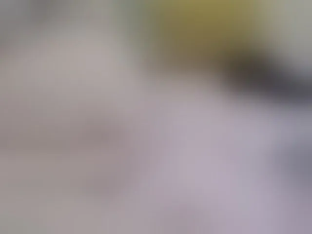 Live sex webcam photo for MILAax #292475715
