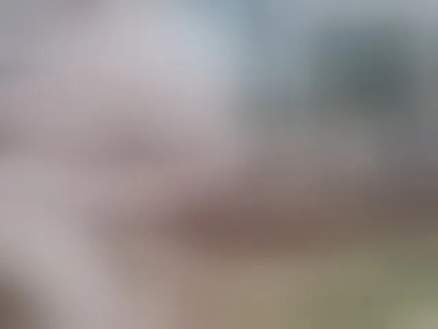Live sex webcam photo for MILAax #292525554